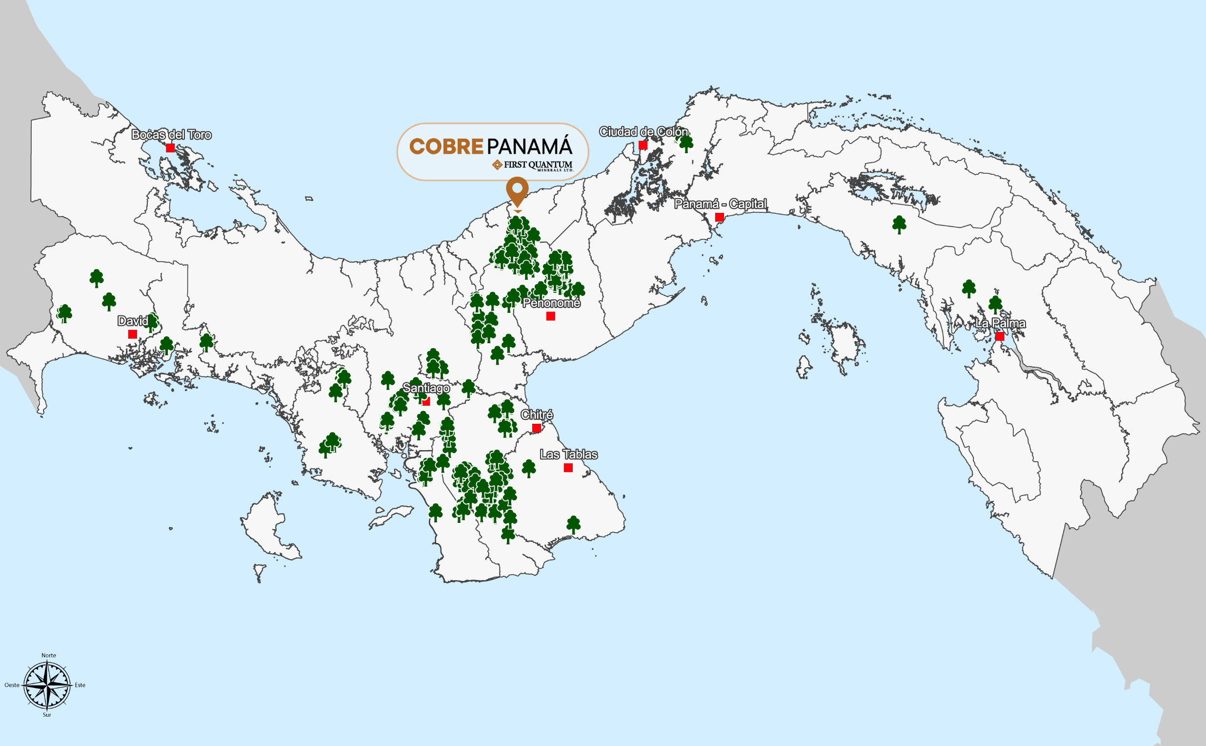 Reforestación - Nuestro compromiso con la reforestación
