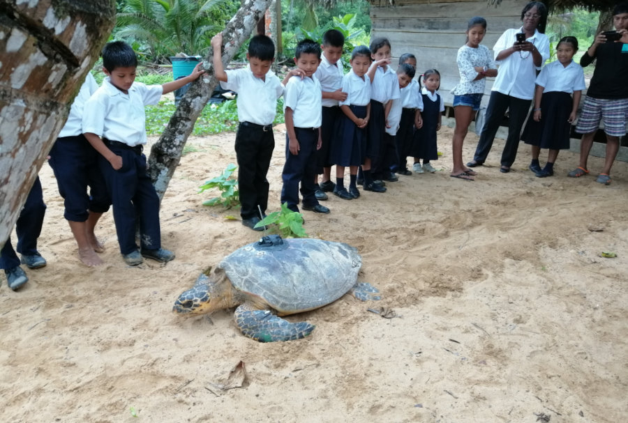 Educación y Sensibilización