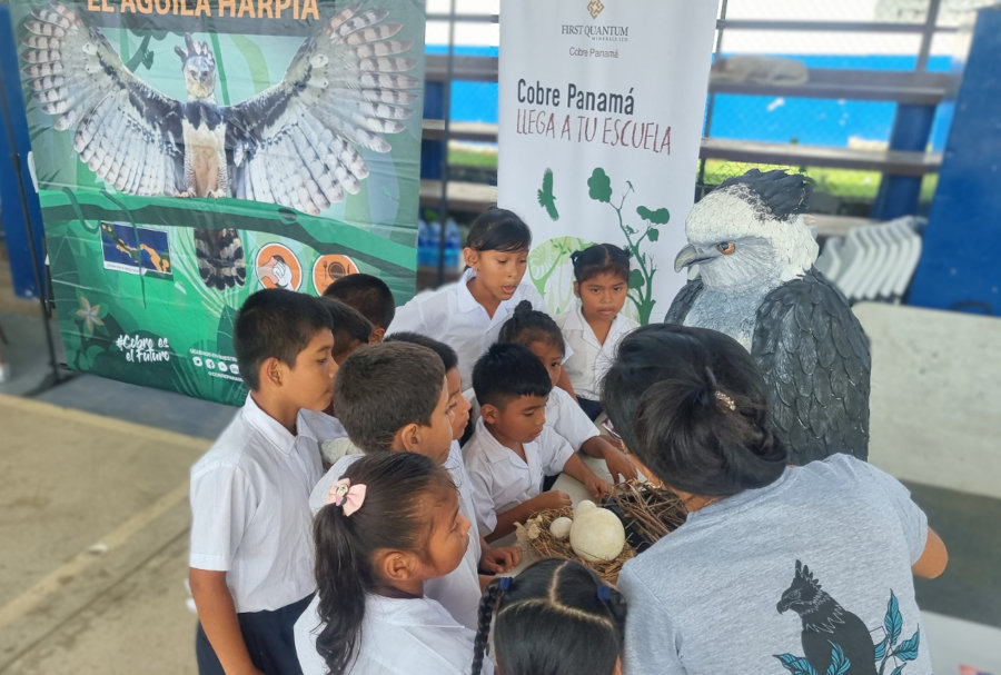 Educación y Sensibilización