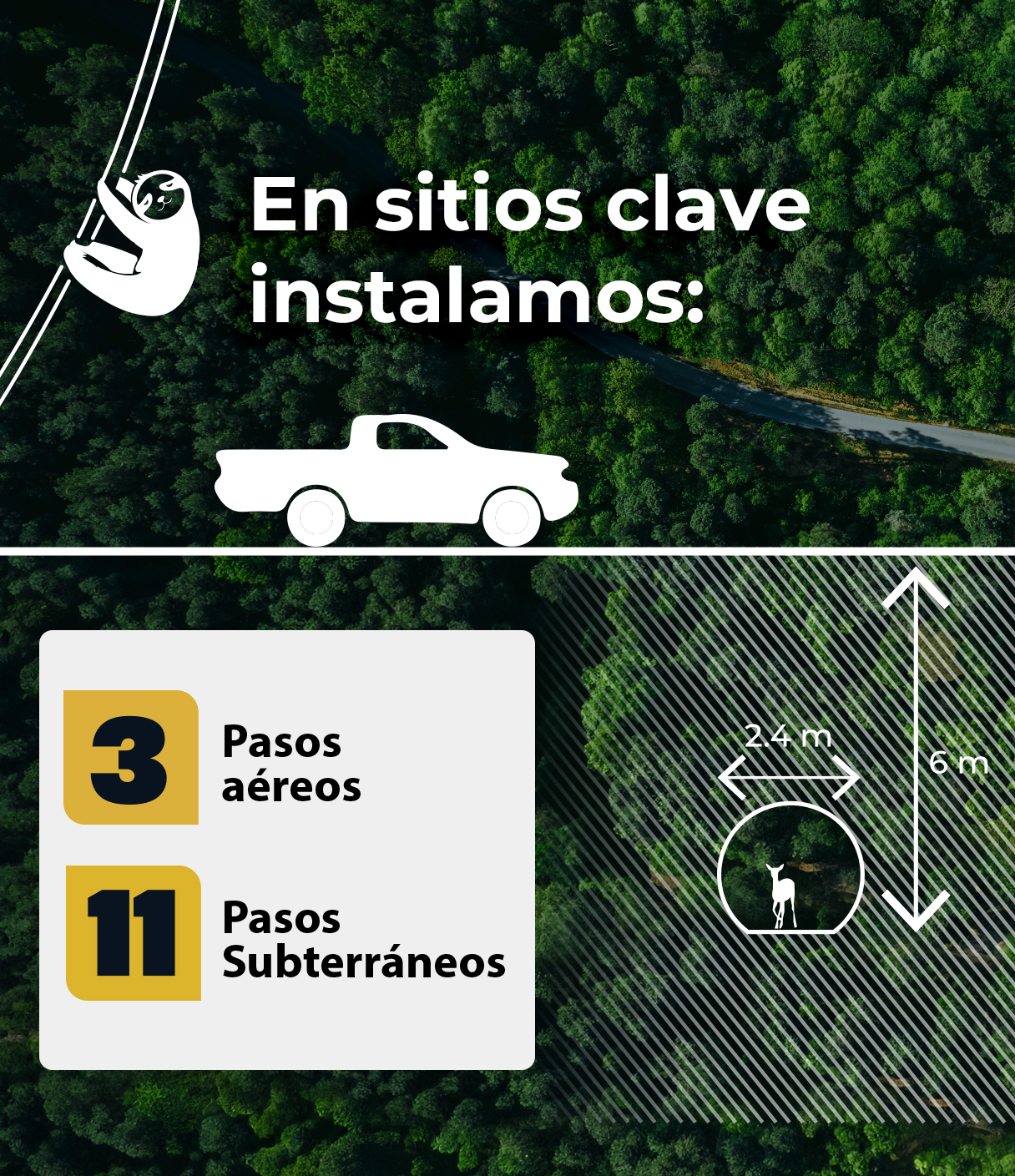 Biodiversidad - Corredor Biológico