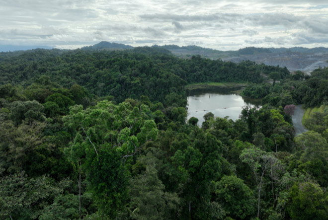 Biodiversidad - Minimización